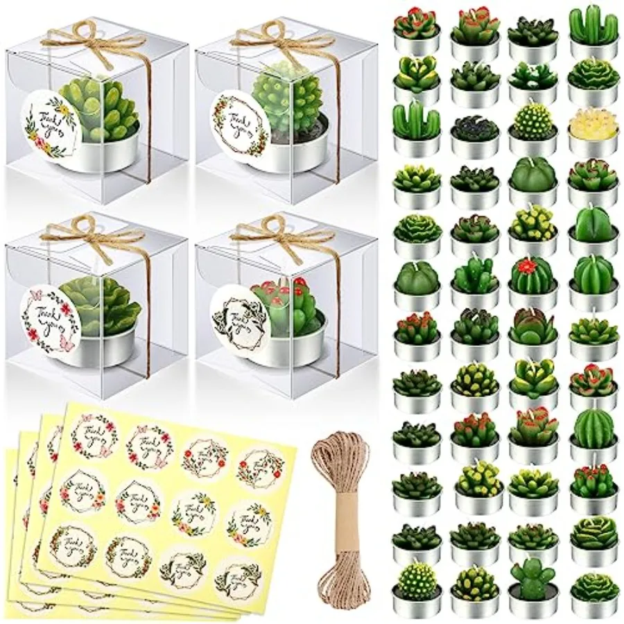 Sets Cactus Tealight Candle Gift Delicate Succulent Cactus Candle Mini Plant Party Favor for Valentine's Day Holiday Bridal Sho
Sets Cactus Tealight Candle Gift Delicate Succulent Cactus Candle Mini Plant Party Favor for Valentine's Day Holiday Bridal Sho