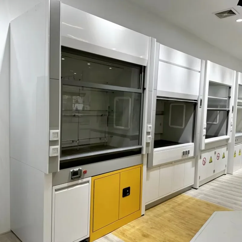 Safety Cabinet Modern Design EVERGREAT Brand Portable Chemical Fume Hood for Laboratory Medical Room
Safety Cabinet Modern Design EVERGREAT Brand Portable Chemical Fume Hood for Laboratory Medical Room