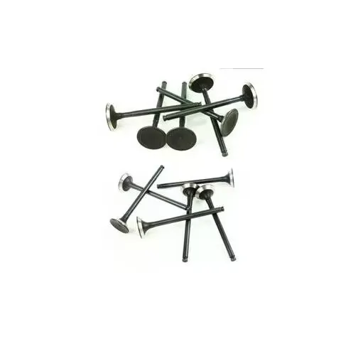 Высококачественный впускной и выпускной клапан двигателя для Chery PRACTIVAN 14- OEM:472-1007011BA 472-1007012BA, 16 шт./комплект
Высококачественный впускной и выпускной клапан двигателя для Chery PRACTIVAN 14- OEM:472-1007011BA 472-1007012BA, 16 шт./комплект