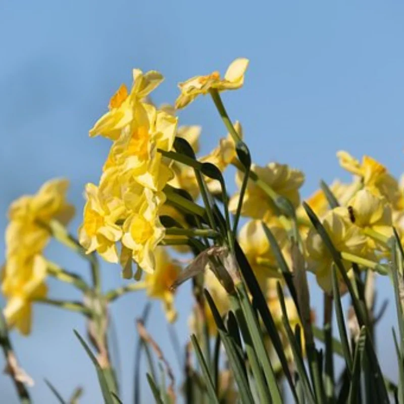 ДЛЯ 1/10 Tamiya M Car RC Flat Run Drift Универсальный MJX 1/14 раллийный автомобиль 60D колесо шины W246 
ДЛЯ 1/10 Tamiya M Car RC Flat Run Drift Универсальный MJX 1/14 раллийный автомобиль 60D колесо шины W246