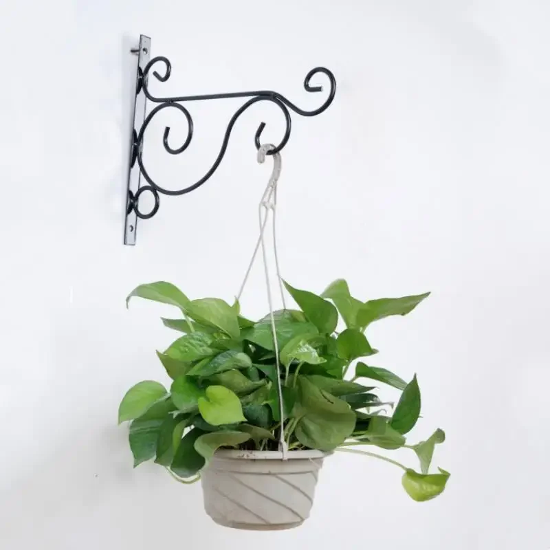 Hanging Metal Bracket for Plants, Iron Hook, Bracket Hook, Flowerpot, Plant Holder, Hanger, Garden, Outdoor Decor, 1Pc
Hanging Metal Bracket for Plants, Iron Hook, Bracket Hook, Flowerpot, Plant Holder, Hanger, Garden, Outdoor Decor, 1Pc