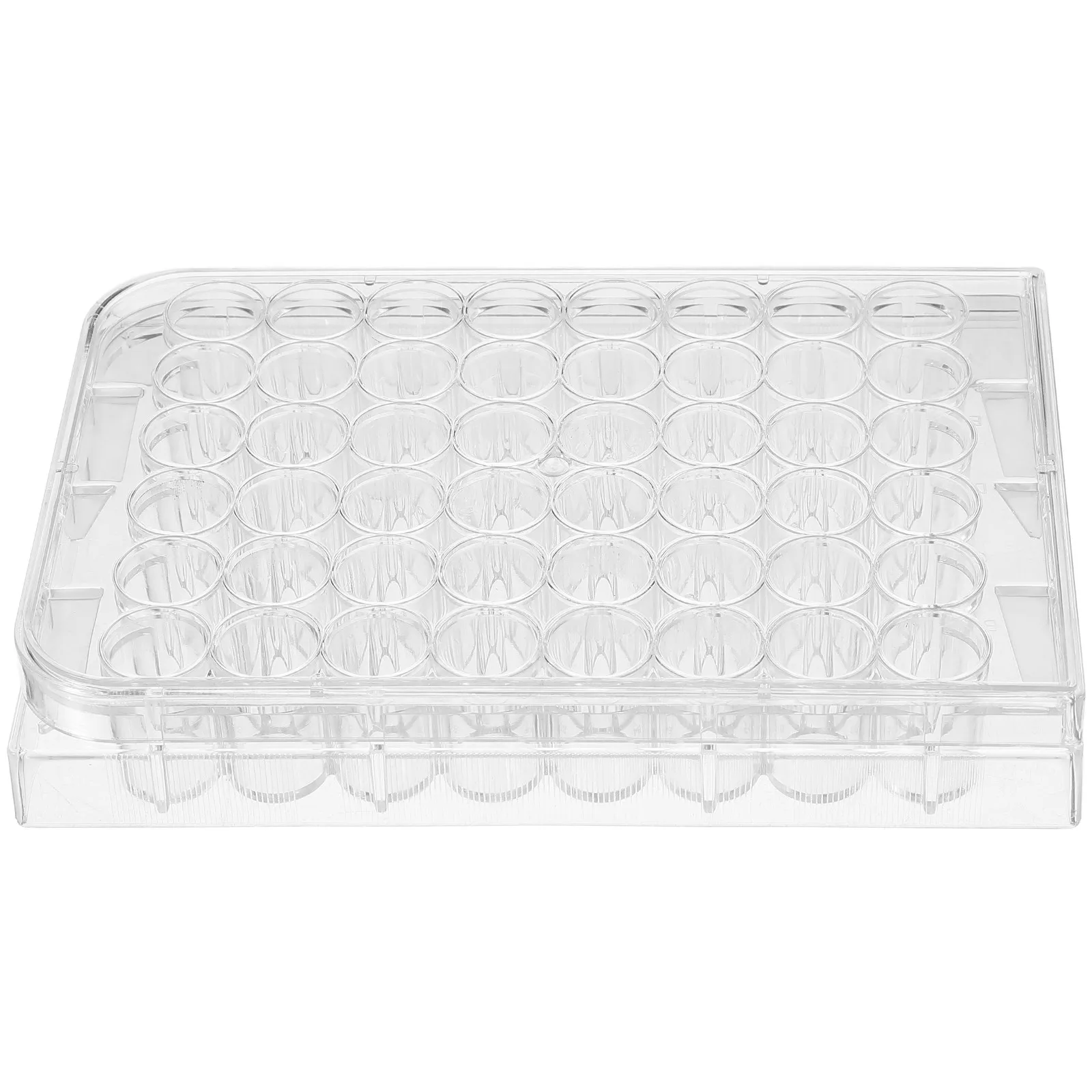 48 Holes Cell Culture Plate Transparent Tissue Culture Tray Laboratory Flat Bottom for Stable Cell Growth Research Tool
48 Holes Cell Culture Plate Transparent Tissue Culture Tray Laboratory Flat Bottom for Stable Cell Growth Research Tool