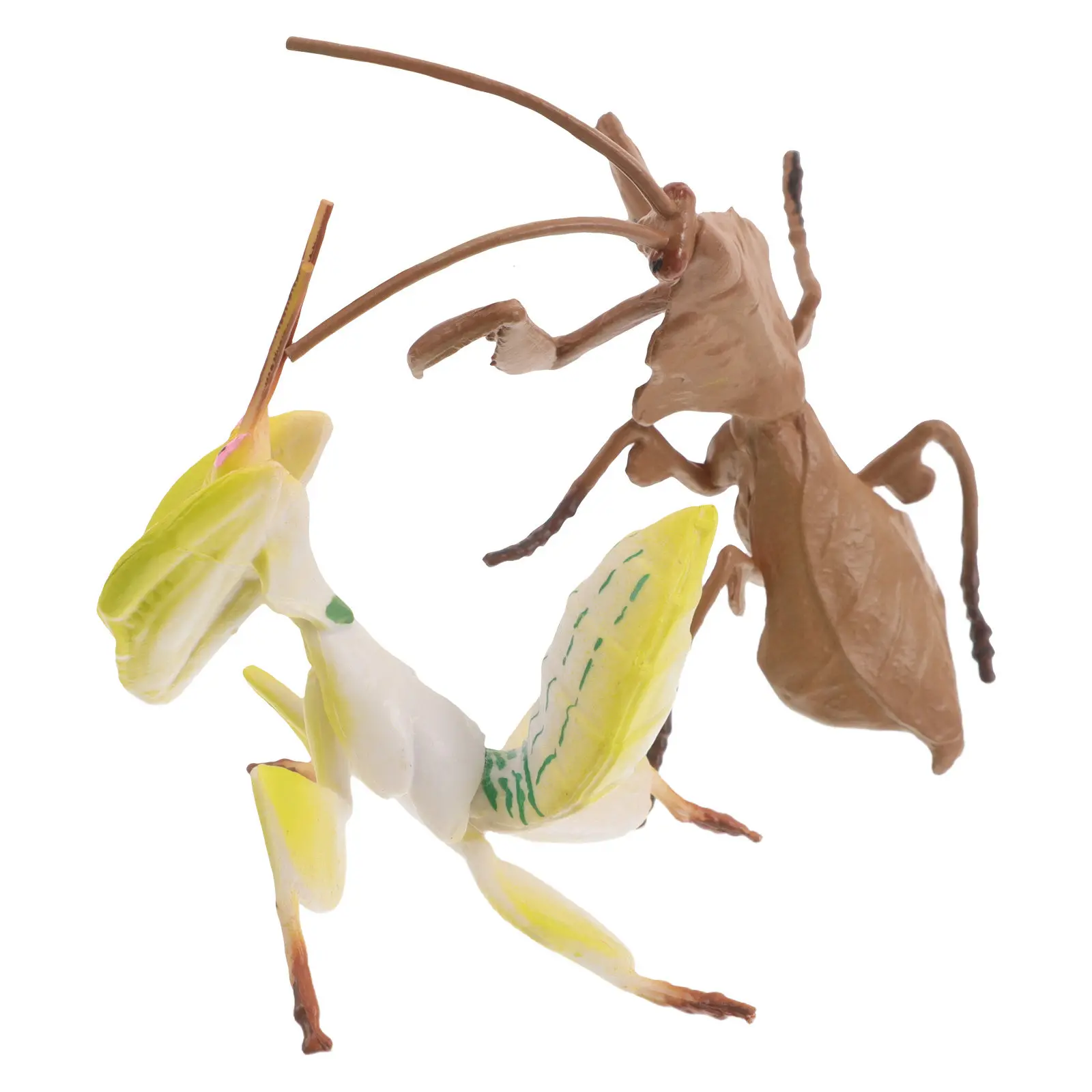 2Pcs Praying Mantis Sculpture Realistic Insect Ornament for Garden Decoration Insect Observation Specimens Educational
2Pcs Praying Mantis Sculpture Realistic Insect Ornament for Garden Decoration Insect Observation Specimens Educational
