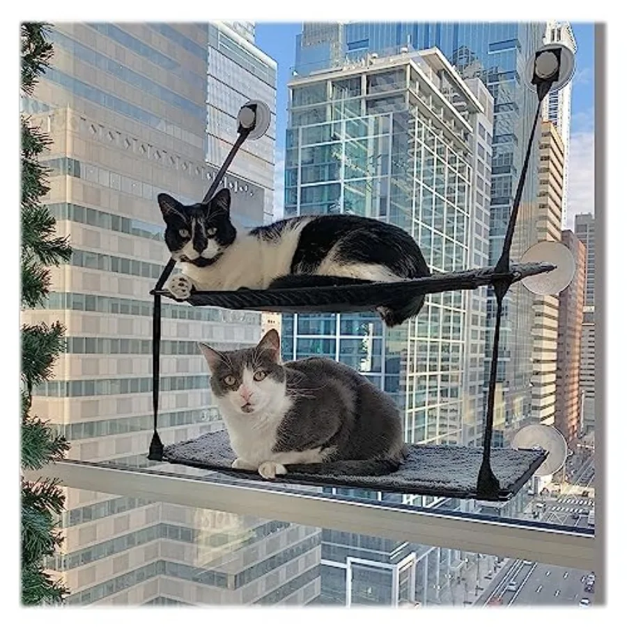 EZ Mount Cat Window Perch for Large Cats, Sturdy Window Hammock Bed, Steel Frame, Sturdy Suction Cups, 2 Washable Shelf Covers,
EZ Mount Cat Window Perch for Large Cats, Sturdy Window Hammock Bed, Steel Frame, Sturdy Suction Cups, 2 Washable Shelf Covers,