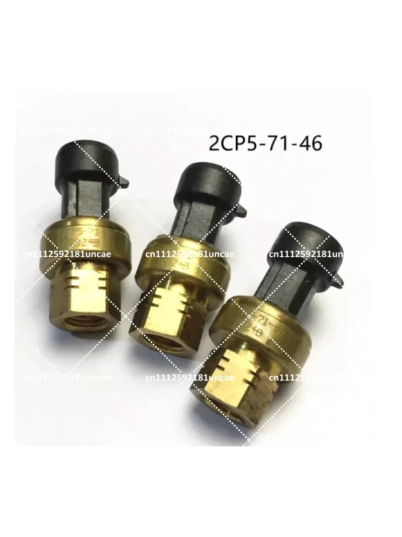 Pressure Sensor 2CP5-71-64 2CP57147 Replacement for Industrial Hydraulic Systems
Pressure Sensor 2CP5-71-64 2CP57147 Replacement for Industrial Hydraulic Systems