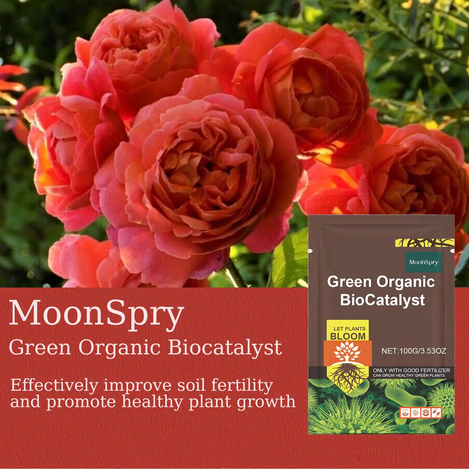 Plant Growth Enhancer Rooting Powder Soil Activator Nutrient-Rich Flower Fertilizer for Enhanced Hormone Function
Plant Growth Enhancer Rooting Powder Soil Activator Nutrient-Rich Flower Fertilizer for Enhanced Hormone Function