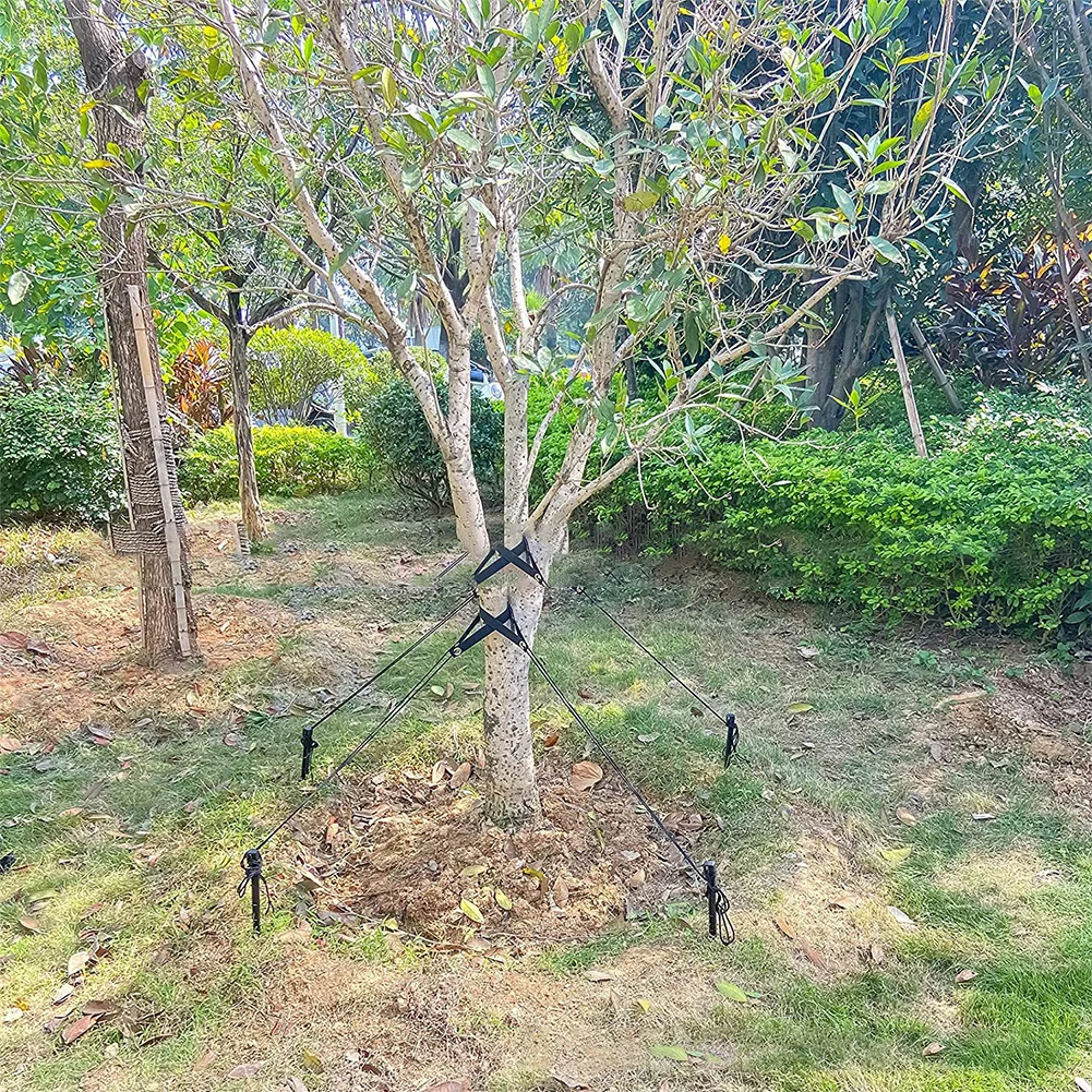 Garden Accessories 17.87 Inches Anchoring Kit Strong Nylon Straps Weather Resistant Black Tree Stakes Garden Support
Garden Accessories 17.87 Inches Anchoring Kit Strong Nylon Straps Weather Resistant Black Tree Stakes Garden Support