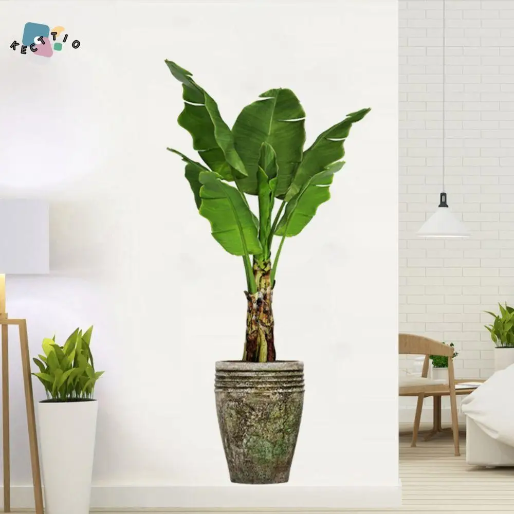 Art PVC Green Plant Potted Wall Sticker Self-adhesive Removable Wallpaper Eco-friendly Creative Wall Decals Bedroom Living Room
Art PVC Green Plant Potted Wall Sticker Self-adhesive Removable Wallpaper Eco-friendly Creative Wall Decals Bedroom Living Room