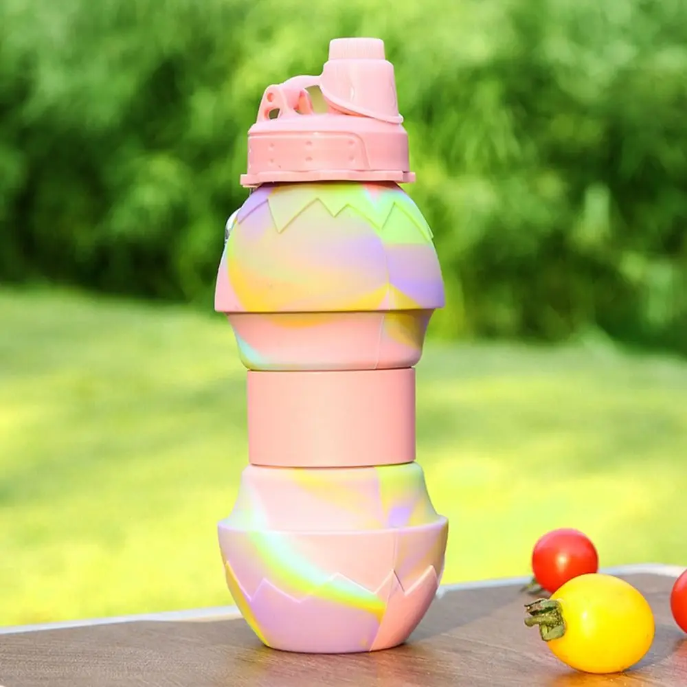 With Carabiner Silicone Folding Cups Large Capacity Silicone Sport Water Bottle Leak-proof Multifunction Portable Water Bottle
With Carabiner Silicone Folding Cups Large Capacity Silicone Sport Water Bottle Leak-proof Multifunction Portable Water Bottle