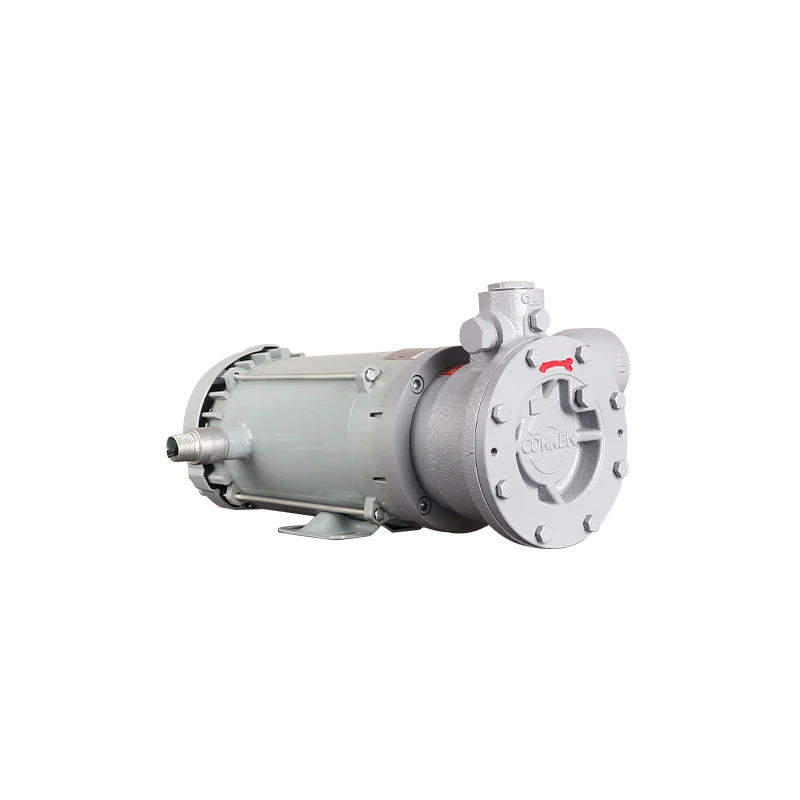 High quality liquefied petroleum gas pump LPG-60 high flow electric pump
High quality liquefied petroleum gas pump LPG-60 high flow electric pump