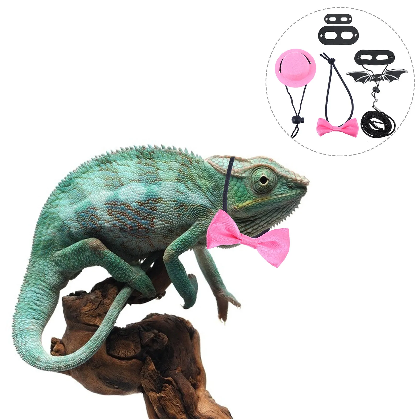 Комплект костюма ящерицы на День святого Валентина: регулируемый поводок, галстук-бабочка, шляпа для мелких рептилий, ящериц, гекконов, игуан.
Комплект костюма ящерицы на День святого Валентина: регулируемый поводок, галстук-бабочка, шляпа для мелких рептилий, ящериц, гекконов, игуан.