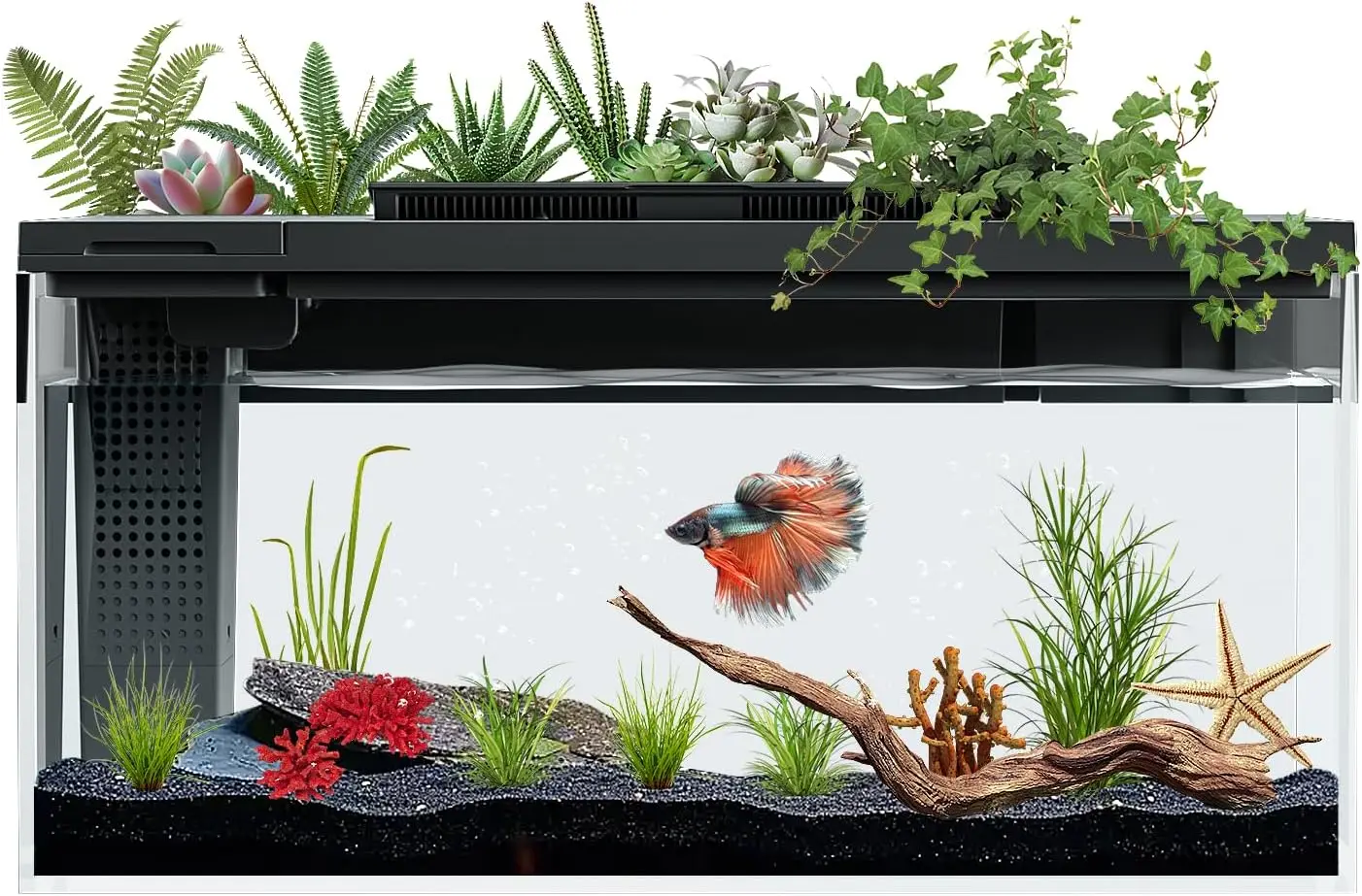 3.7 Gallon Betta Fish Tank self Cleaning,Smart Aquarium Aquarium kit with Filter Light Water Pump (Black)
3.7 Gallon Betta Fish Tank self Cleaning,Smart Aquarium Aquarium kit with Filter Light Water Pump (Black)