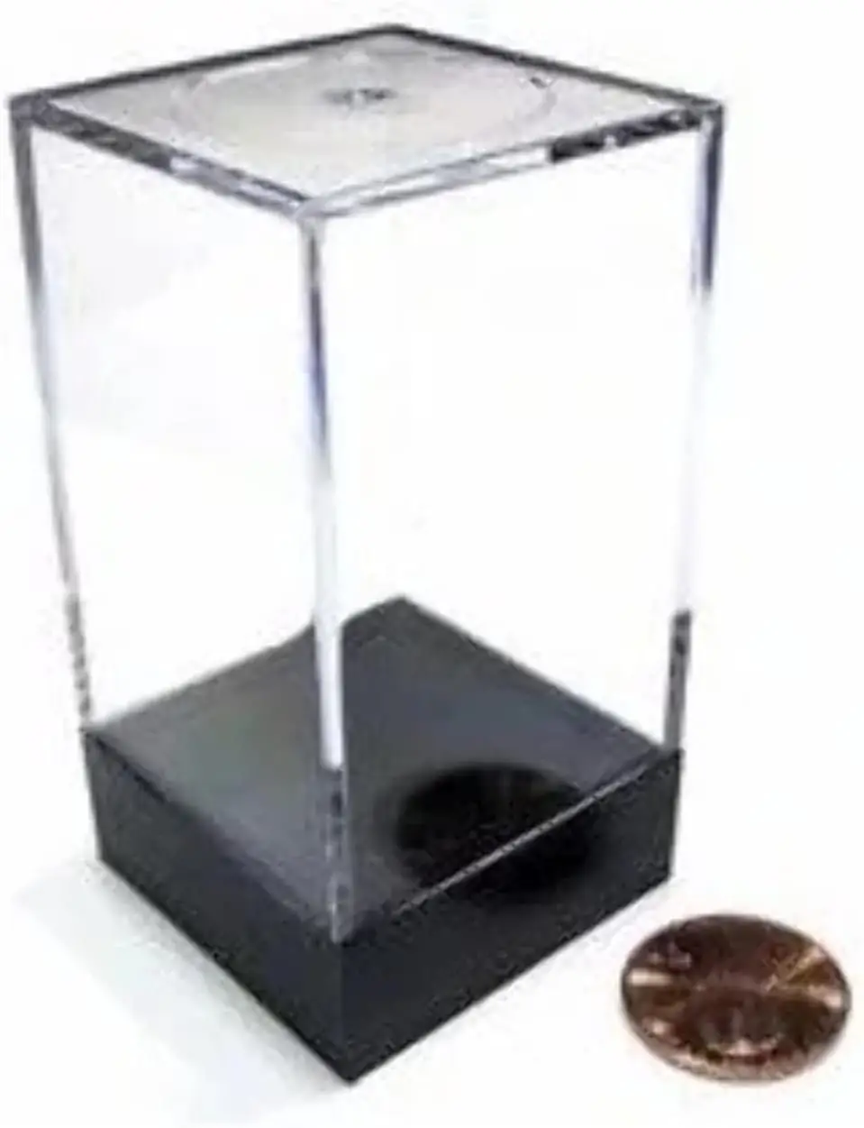 Clear Plastic Figure Display Box with Black Base, 1.5x1.5x2.75 inches for Miniatures
Clear Plastic Figure Display Box with Black Base, 1.5x1.5x2.75 inches for Miniatures