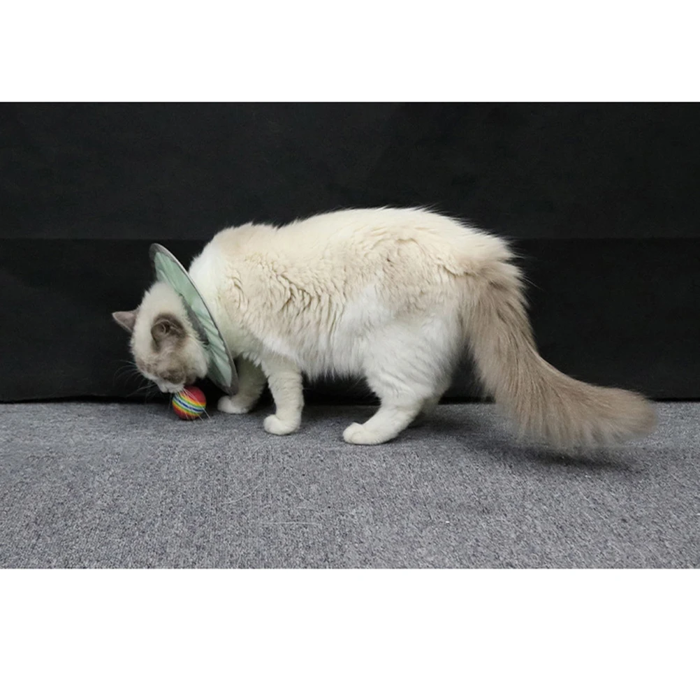 Pet Recovery for Cats Adjustable Anti lick Elizabethan Collar Elizabethan Pet Collar Protective Waterproof Breathable
Pet Recovery for Cats Adjustable Anti lick Elizabethan Collar Elizabethan Pet Collar Protective Waterproof Breathable