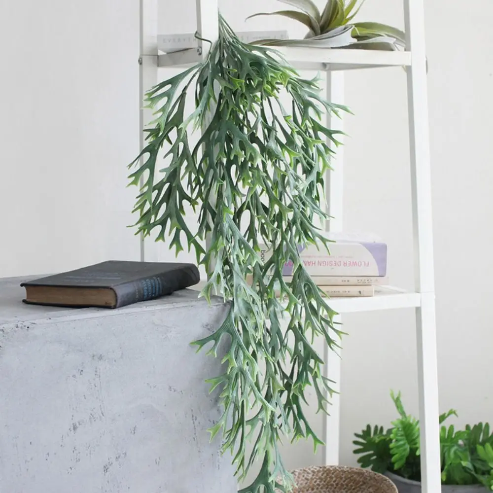 80cm Artificial Staghorn Fern Ferns Plants Wall Hanging Artificial Antlers Leaf Plastic Realistic Fake Plants
80cm Artificial Staghorn Fern Ferns Plants Wall Hanging Artificial Antlers Leaf Plastic Realistic Fake Plants