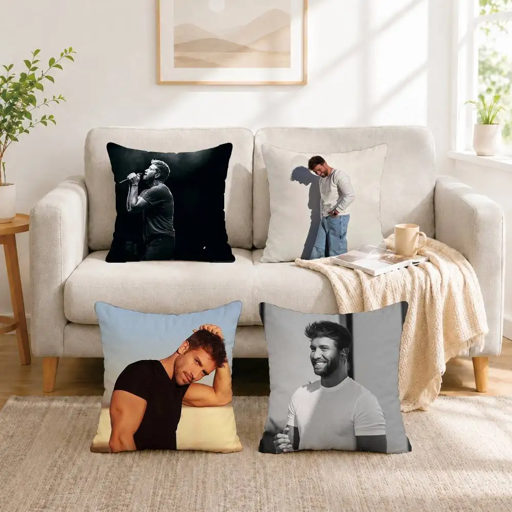 P-Pablo Alboran S-Singer Square Double-Sided printed Pillow Case Bedroom Bedside Pillow Sofa Cushion Cover Gift
P-Pablo Alboran S-Singer Square Double-Sided printed Pillow Case Bedroom Bedside Pillow Sofa Cushion Cover Gift