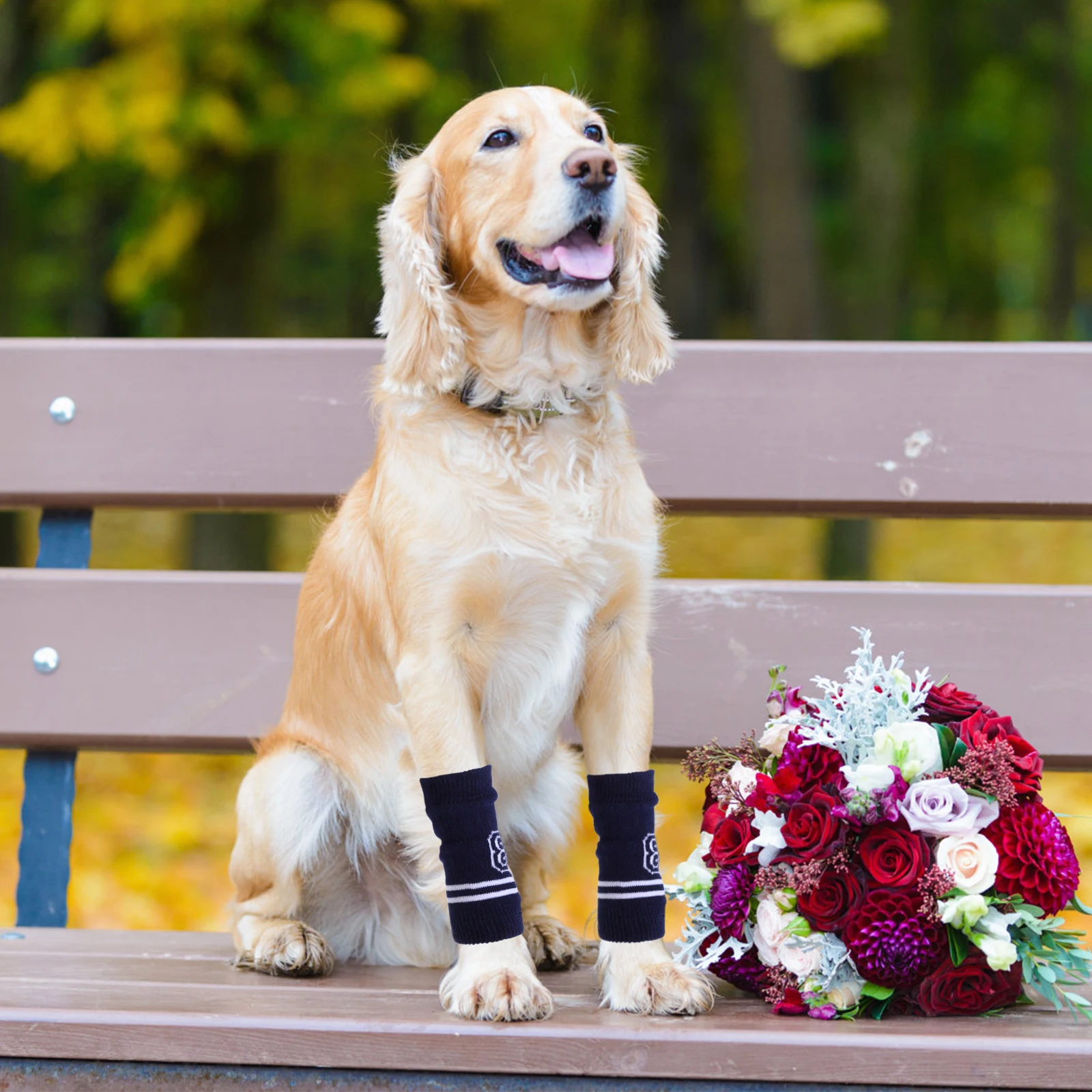 4Pcs Knitted Dog Leg Warmers Pet Elbow Protector Comfortable Washable Socks for Dogs Versatile Fit Easy Clean Dog Leg Warmers
4Pcs Knitted Dog Leg Warmers Pet Elbow Protector Comfortable Washable Socks for Dogs Versatile Fit Easy Clean Dog Leg Warmers