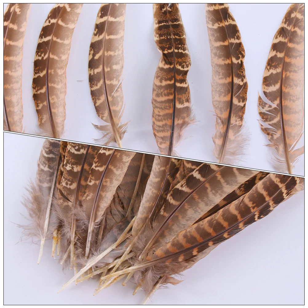 Natural Pheasant Plumes Soft Bright Color DIY Dream Catcher Materials Home Decor Party Decoration Crafts Supplies 
Natural Pheasant Plumes Soft Bright Color DIY Dream Catcher Materials Home Decor Party Decoration Crafts Supplies