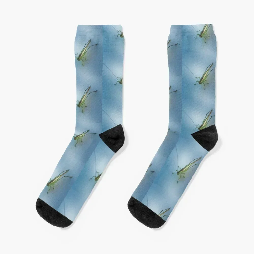 GrassHopper Socks funny sock Stockings gifts Sports Socks Ladies Men's
GrassHopper Socks funny sock Stockings gifts Sports Socks Ladies Men's