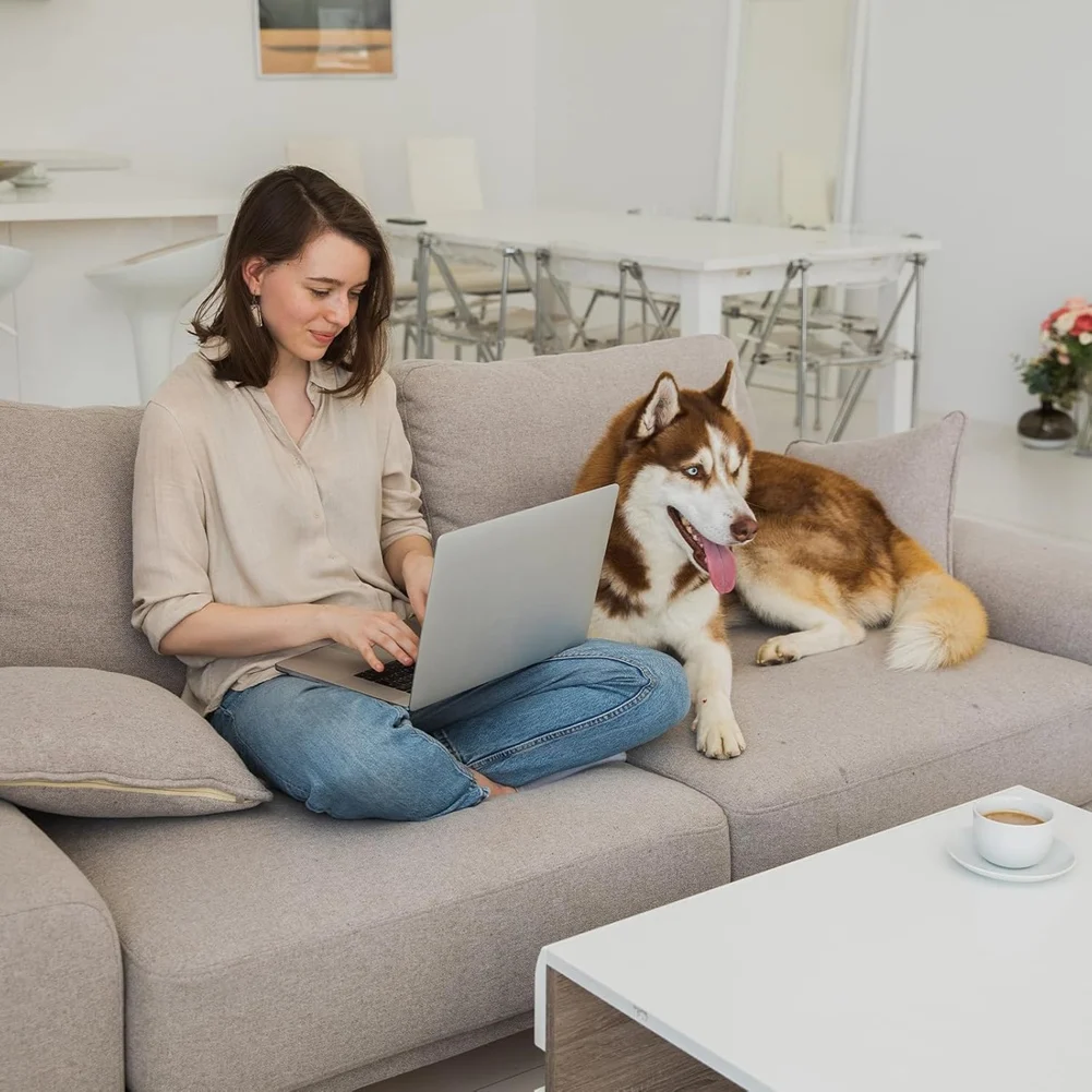 B17CCC Couch Cushion Support for Sagging Seat, 3pcs Sofa Furniture Seat Cushion Sagging Repair, Foam Sofa Cushion Support White
B17CCC Couch Cushion Support for Sagging Seat, 3pcs Sofa Furniture Seat Cushion Sagging Repair, Foam Sofa Cushion Support White