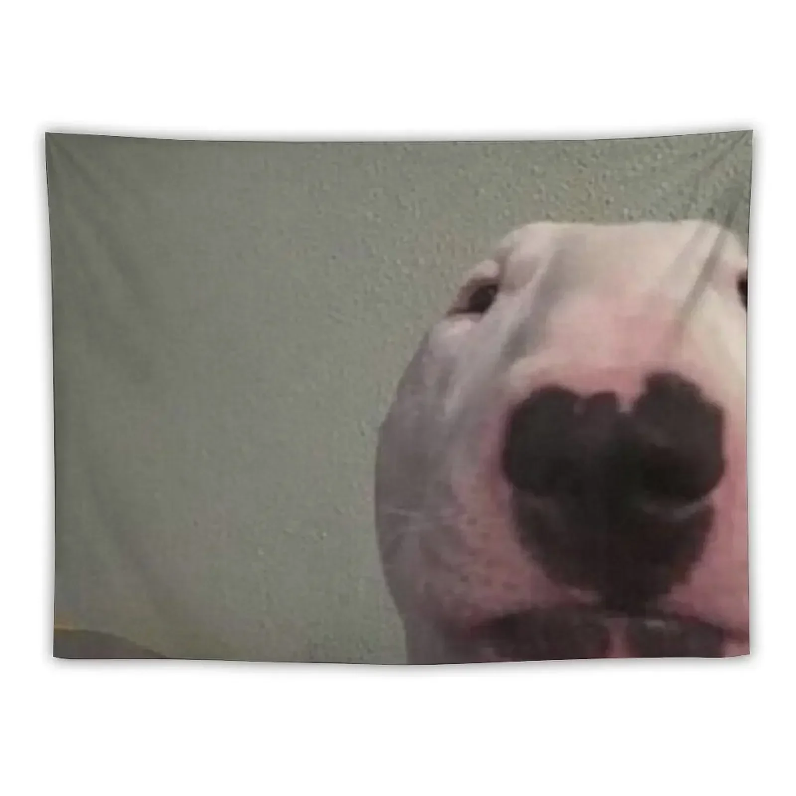 Walter Dog Tee Tapestry Decoration Wall Room Decorations Aesthetics Wall Hanging Decor Things To The Room Tapestry
Walter Dog Tee Tapestry Decoration Wall Room Decorations Aesthetics Wall Hanging Decor Things To The Room Tapestry