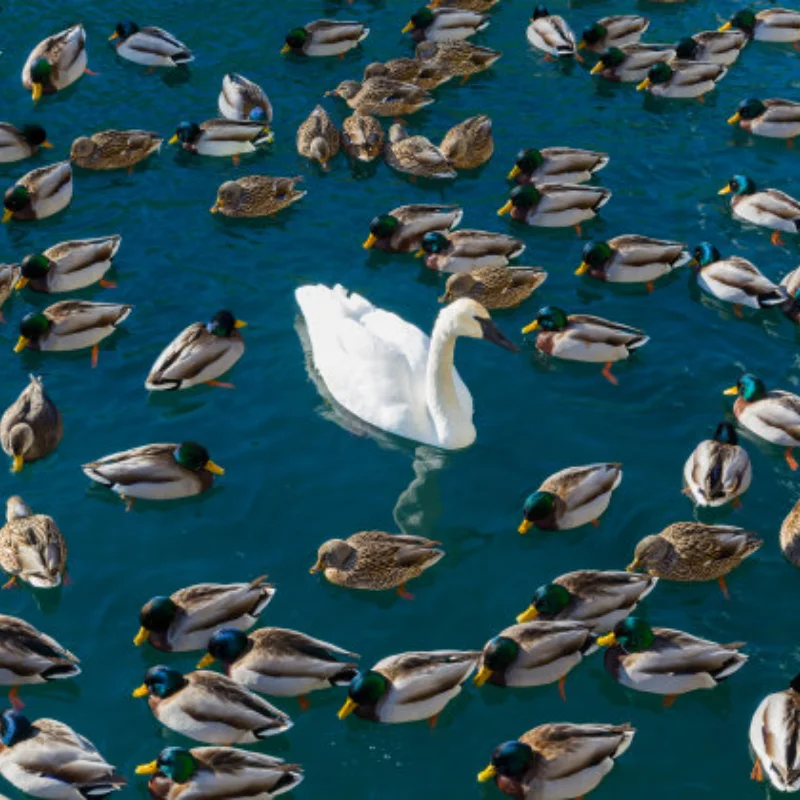 Металлическая защитная рамка передатчика YA-0711BK для пульта дистанционного управления Flysky Noble NB4/NB4 Pro
Металлическая защитная рамка передатчика YA-0711BK для пульта дистанционного управления Flysky Noble NB4/NB4 Pro