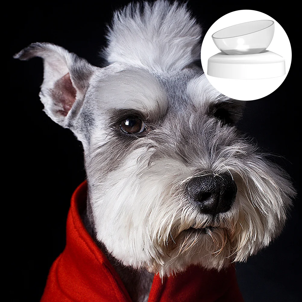 1Pcs Pet Bowl ABS Durable 20 Degree Adjustable Elevated Feeder for Healthy Dog Cat Eating Posture Water Bowl Pet
1Pcs Pet Bowl ABS Durable 20 Degree Adjustable Elevated Feeder for Healthy Dog Cat Eating Posture Water Bowl Pet