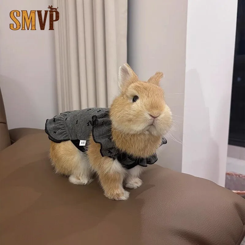 Lightweight Breathable Rabbit Dress Cool Summer Clothes For Rabbits Prevent Overheating Cute Bear Print Outfit For Small Pets
Lightweight Breathable Rabbit Dress Cool Summer Clothes For Rabbits Prevent Overheating Cute Bear Print Outfit For Small Pets