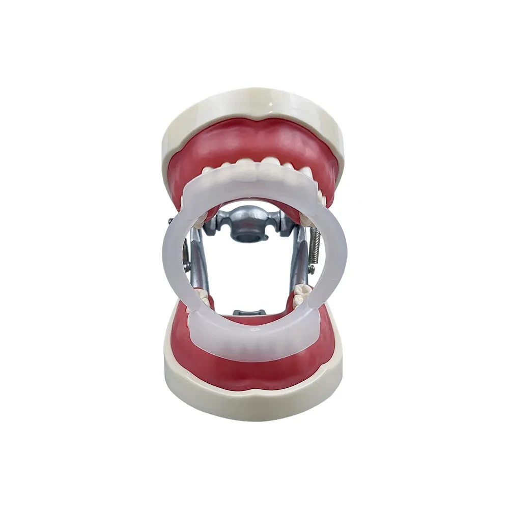 100pcs/bag Dental O-Shape Intraoral Lip Cheek Retractor Mouth Opener Oral Hygiene Teeth Whitening Expanders Orthodontic Brace
100pcs/bag Dental O-Shape Intraoral Lip Cheek Retractor Mouth Opener Oral Hygiene Teeth Whitening Expanders Orthodontic Brace