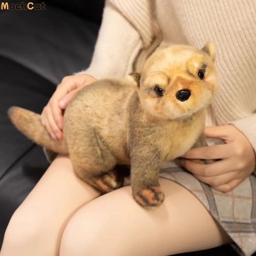 PP Cotton Brown Otter Plush Toy Lifelike Fluffy Chubby Otter Stuffed Animal Dolls Soft Collection Simulation Otter Toy Doll
PP Cotton Brown Otter Plush Toy Lifelike Fluffy Chubby Otter Stuffed Animal Dolls Soft Collection Simulation Otter Toy Doll