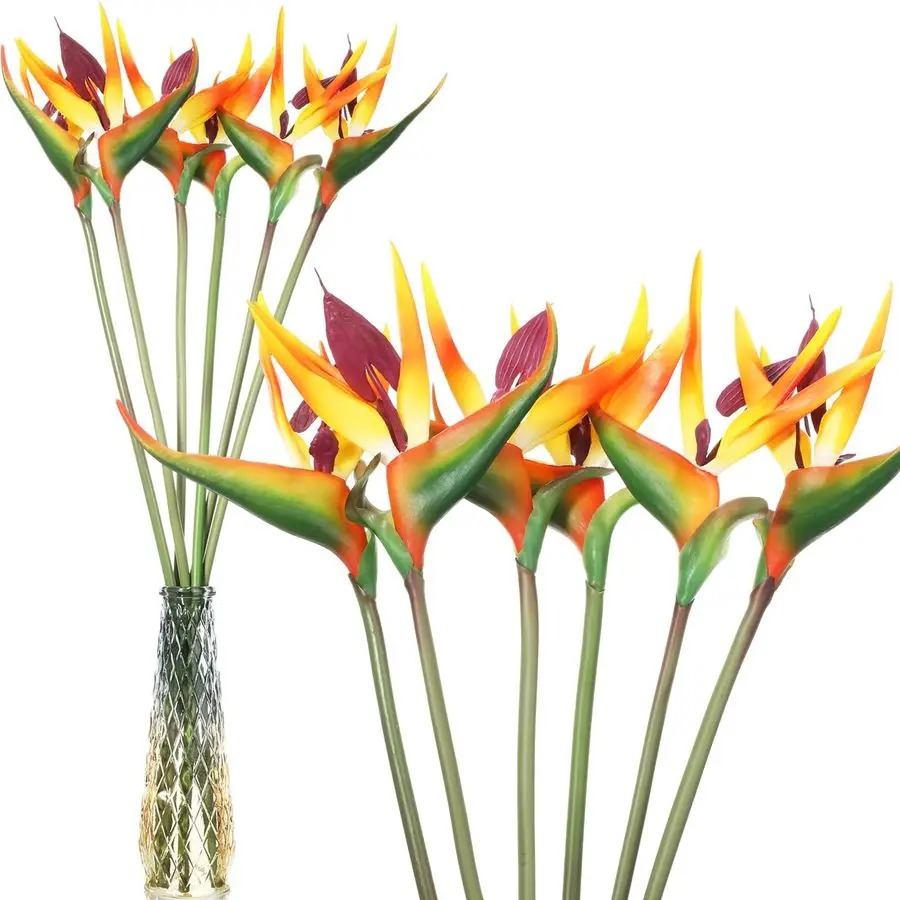 12 Pcs Bird of Paradise Artificial Plant 24 Inches Hawaiian Tropical Flowers Fake Rubber Strelitzia Faux Flowers Bouquet for Hom
12 Pcs Bird of Paradise Artificial Plant 24 Inches Hawaiian Tropical Flowers Fake Rubber Strelitzia Faux Flowers Bouquet for Hom