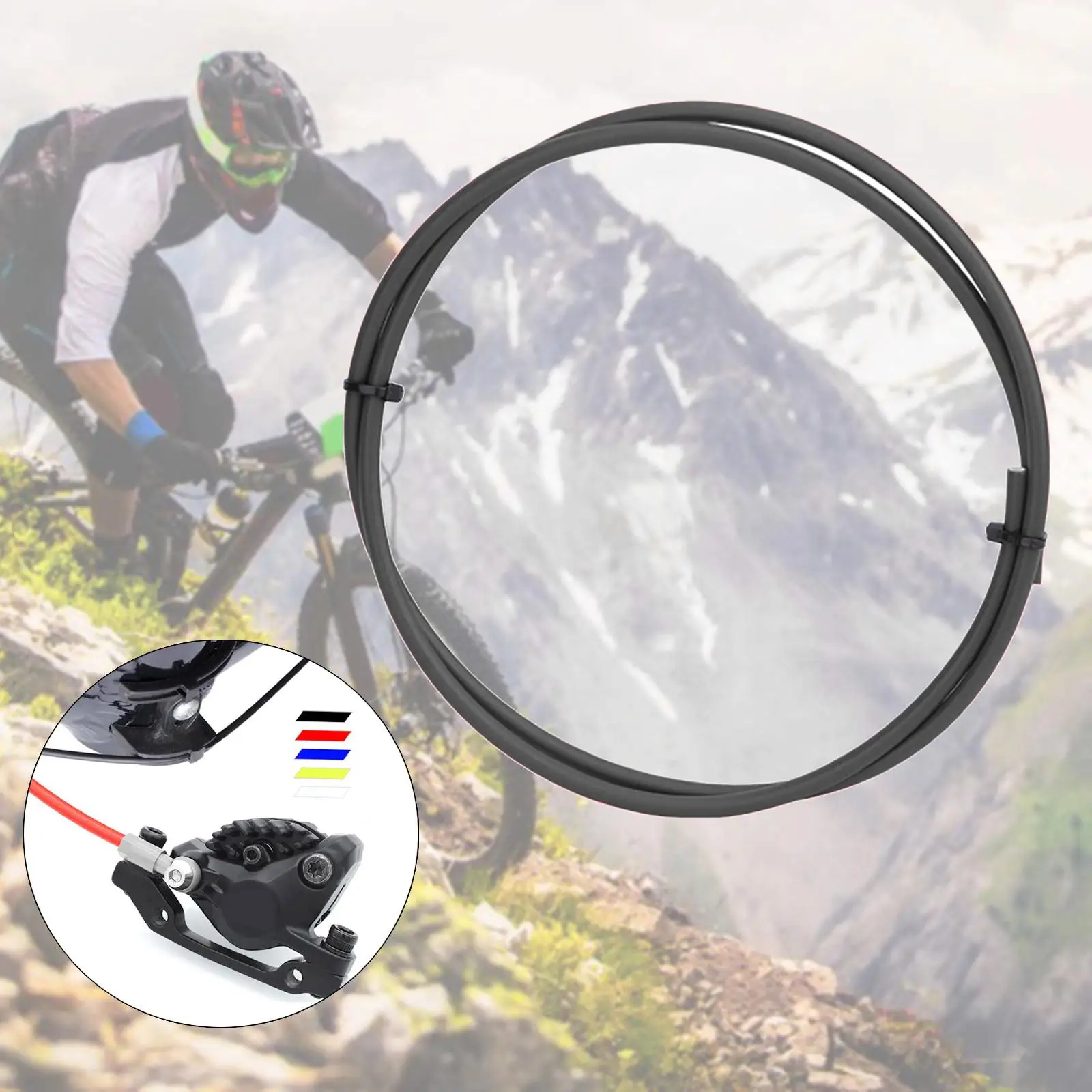 Universal Bike Shifting Wire Set 5 Colors MTB Road Bicycle Brake Cable Gear
Universal Bike Shifting Wire Set 5 Colors MTB Road Bicycle Brake Cable Gear