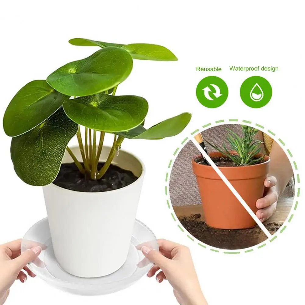 Plastic Planter Tray Strong Pp Plastic Tray Plant Saucers for Indoor Outdoor Potted Plants Round Reusable Planter for Flower
Plastic Planter Tray Strong Pp Plastic Tray Plant Saucers for Indoor Outdoor Potted Plants Round Reusable Planter for Flower