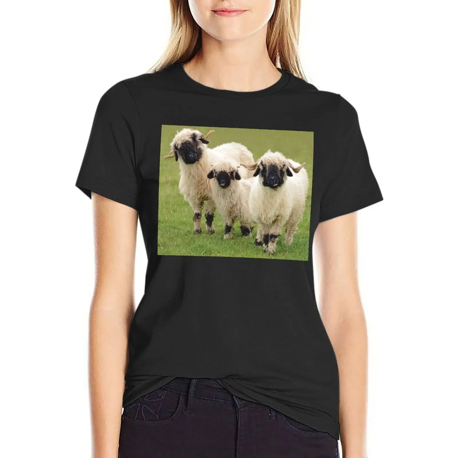 Swiss Valais Blacknose Sheep T-Shirt anime clothes funnys hippie clothes kawaii clothes Woman
Swiss Valais Blacknose Sheep T-Shirt anime clothes funnys hippie clothes kawaii clothes Woman