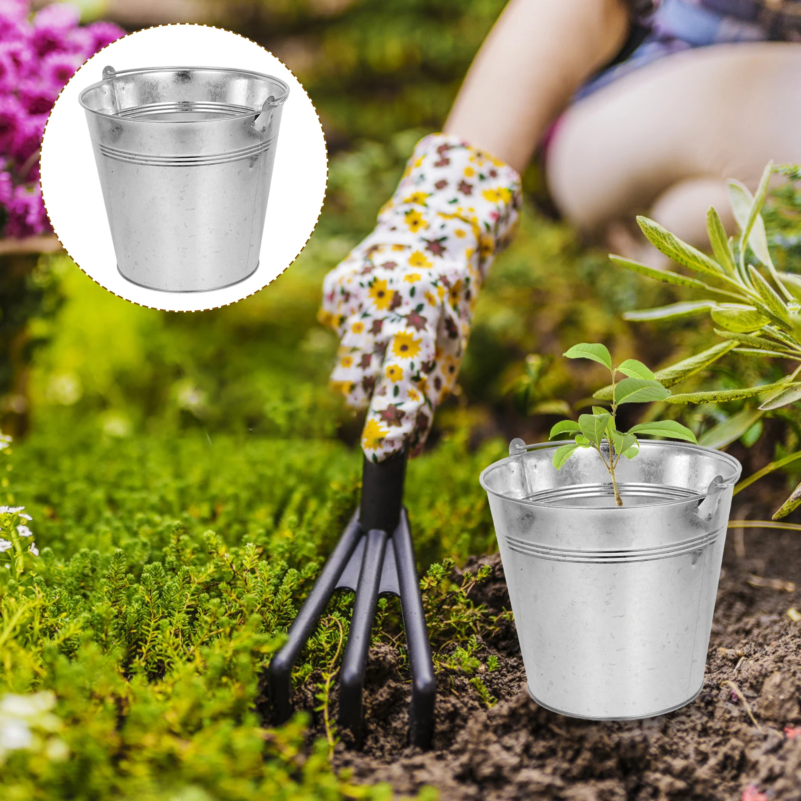 Sturdy Mini Iron Galvanized Compact Metal Flower Handle for Plants Desktop Storage Food Beverage Small Buckets
Sturdy Mini Iron Galvanized Compact Metal Flower Handle for Plants Desktop Storage Food Beverage Small Buckets