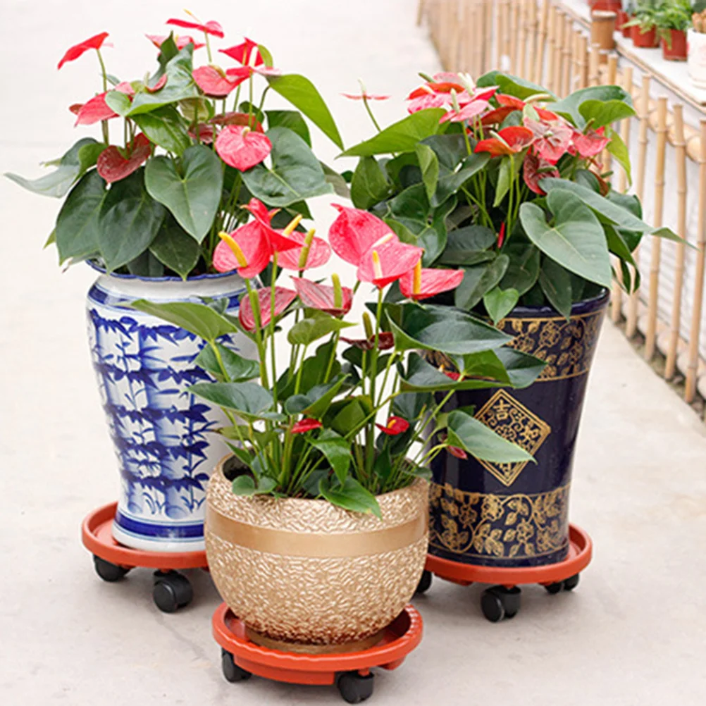 Round Resin Plant Tray Inner Diameter 30Cm Brownish Red Universal Wheel Garden Planter Stand Indoor Outdoor Nursery Pots Tray
Round Resin Plant Tray Inner Diameter 30Cm Brownish Red Universal Wheel Garden Planter Stand Indoor Outdoor Nursery Pots Tray