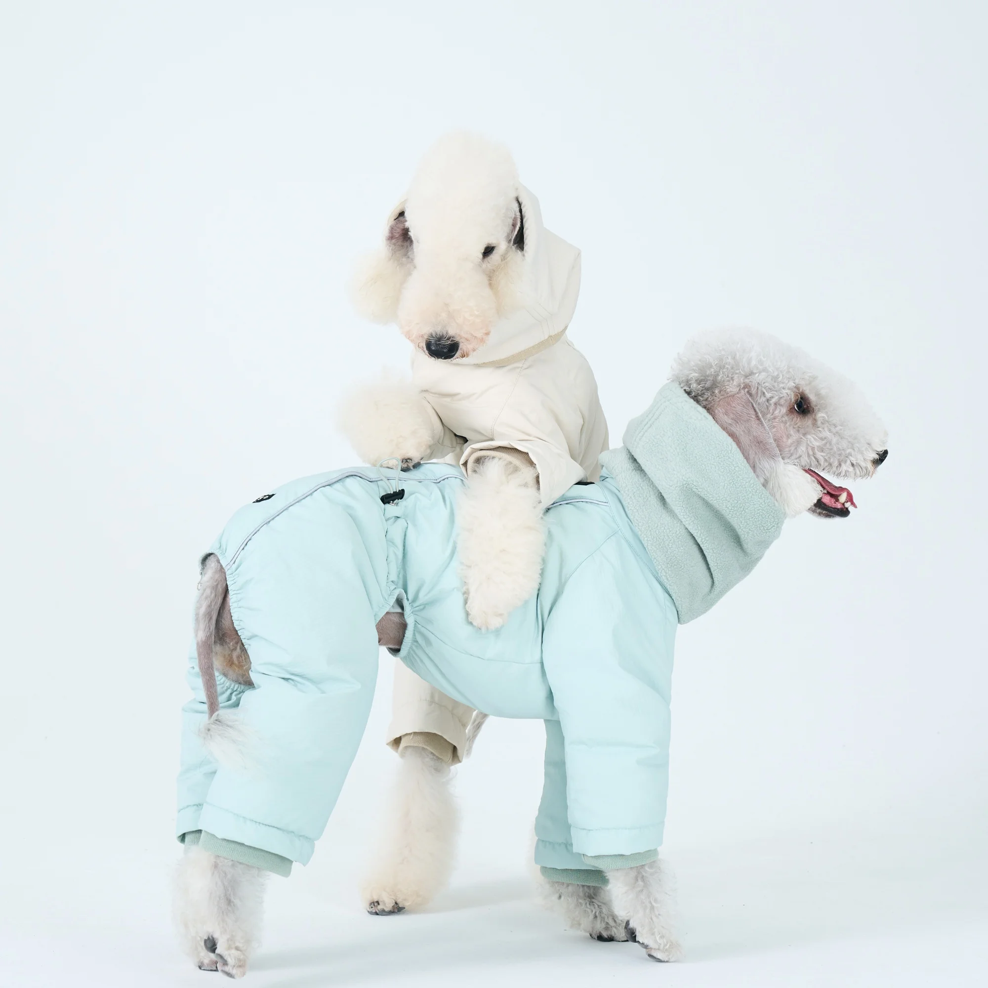 Thick Warm Down Coat for Mid Dogs in Winter Waterproof Windproof Coffee Jacket Fleece Scarf Suit for Bedlington in Cold Weather
Thick Warm Down Coat for Mid Dogs in Winter Waterproof Windproof Coffee Jacket Fleece Scarf Suit for Bedlington in Cold Weather