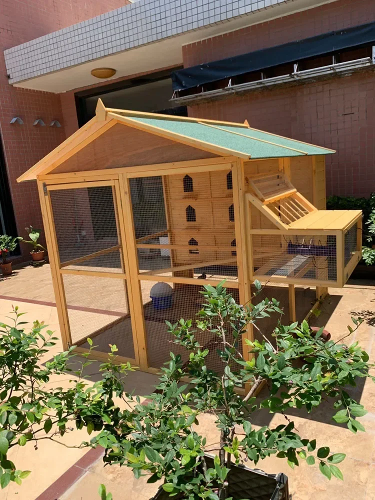 Assemble pigeon cage wooden nest pairing cage Economically affordable
Assemble pigeon cage wooden nest pairing cage Economically affordable