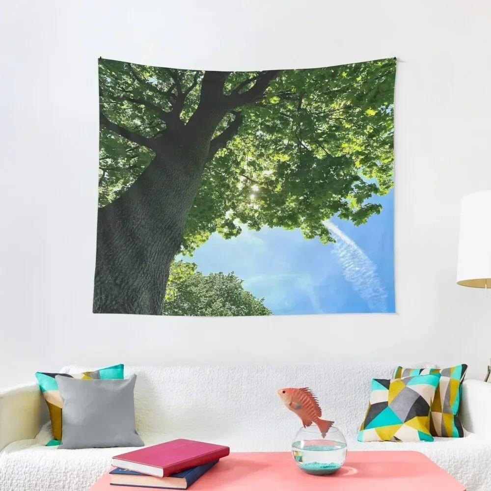 Large Spring Tree Photo Tapestry Room Decorating Aesthetic Room Decoration Accessories Decorations For Your Bedroom Tapestry
Large Spring Tree Photo Tapestry Room Decorating Aesthetic Room Decoration Accessories Decorations For Your Bedroom Tapestry