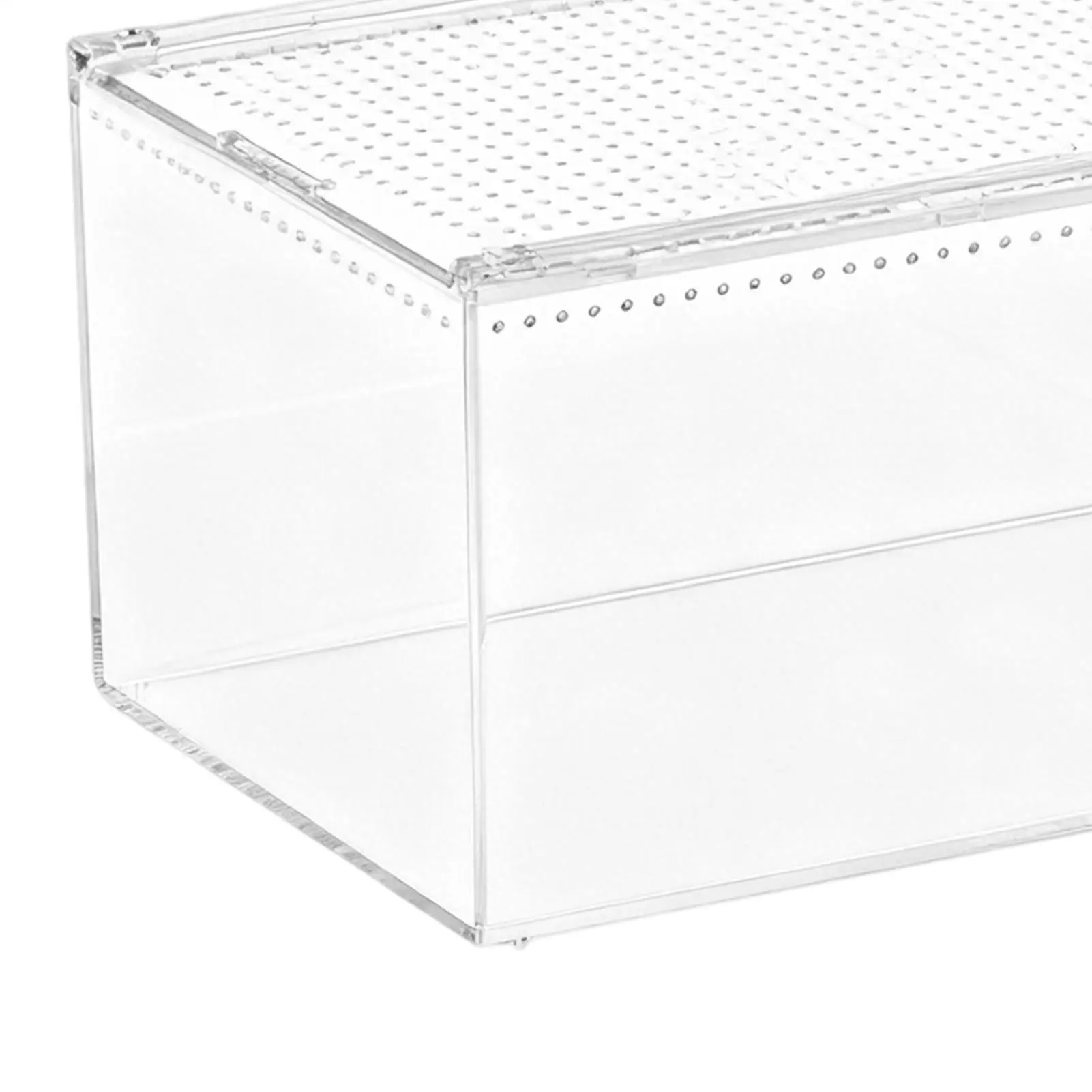 Spider Terrarium Ventilated Transparent Escape-Proof Acrylic Tarantula Enclosure Jumping Spider Habitat For Frog Lizard Gecko
Spider Terrarium Ventilated Transparent Escape-Proof Acrylic Tarantula Enclosure Jumping Spider Habitat For Frog Lizard Gecko