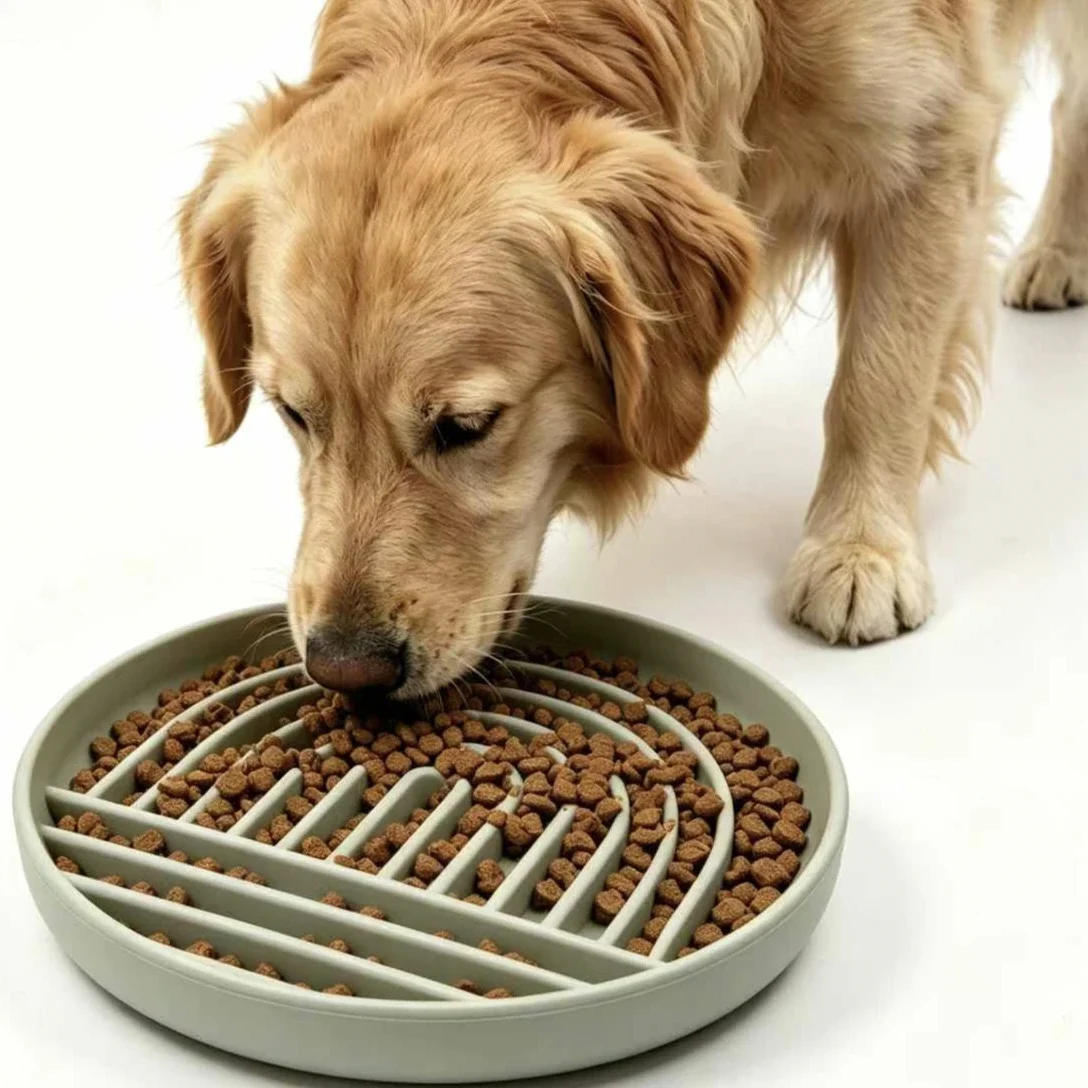 Silicone Slow Feeder Dog Bowl Anti-Choking for Pets Divided Food Dish Anti-Vomit Lick Mat with Non-Slip Plate for Puppies & Cats
Silicone Slow Feeder Dog Bowl Anti-Choking for Pets Divided Food Dish Anti-Vomit Lick Mat with Non-Slip Plate for Puppies & Cats