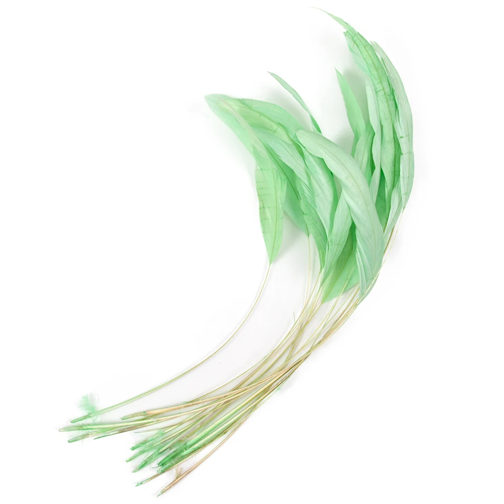 Multicolors Natural Chicken feathers 25-30 CM Rooster Feathers for Jewelry Making Wedding Party Hats Decoration Cock 50Pcs
Multicolors Natural Chicken feathers 25-30 CM Rooster Feathers for Jewelry Making Wedding Party Hats Decoration Cock 50Pcs