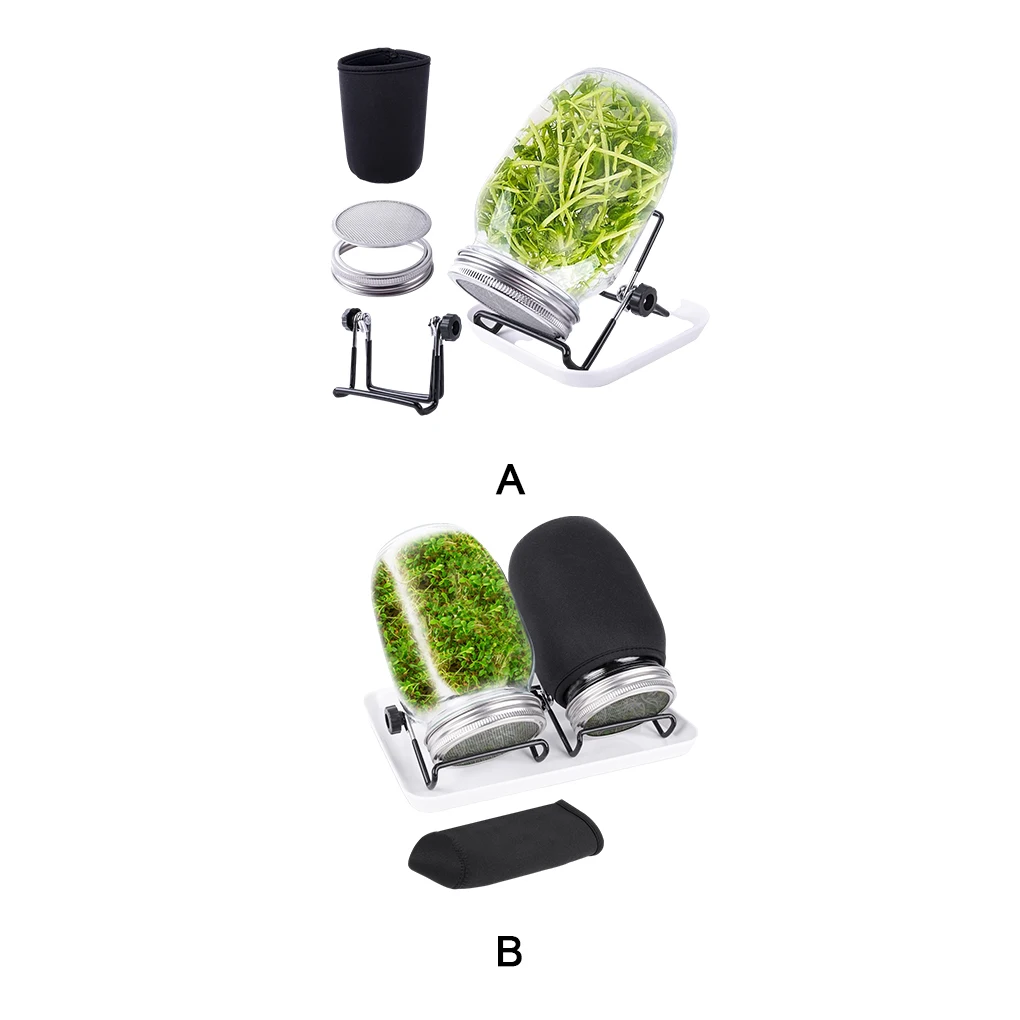 Fresh And Healthy Broccoli Sprouts Suitable For Any Kitchen Style Bean Sprouts Jar Bonsai Tree Kit
Fresh And Healthy Broccoli Sprouts Suitable For Any Kitchen Style Bean Sprouts Jar Bonsai Tree Kit