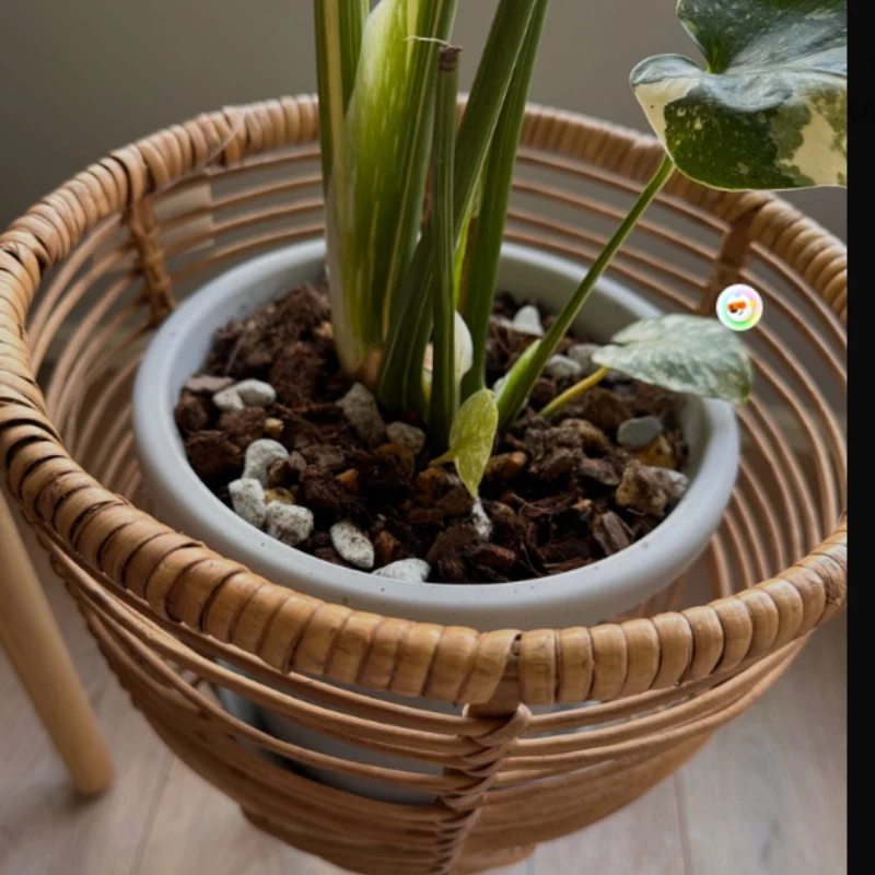 Handwoven Rattan Wicker Plant Stand, Flower Pot Holder Shelf for Balcony Garden, Indoor Outdoor Multi-Purpose Plant Rack
Handwoven Rattan Wicker Plant Stand, Flower Pot Holder Shelf for Balcony Garden, Indoor Outdoor Multi-Purpose Plant Rack