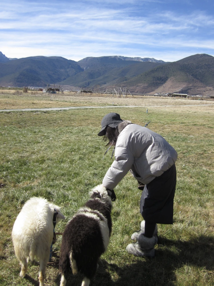 Женская винтажная куртка-пуховик Warmth Du с воротником из натурального пуха, удлиненная, на молнии, белая
Женская винтажная куртка-пуховик Warmth Du с воротником из натурального пуха, удлиненная, на молнии, белая