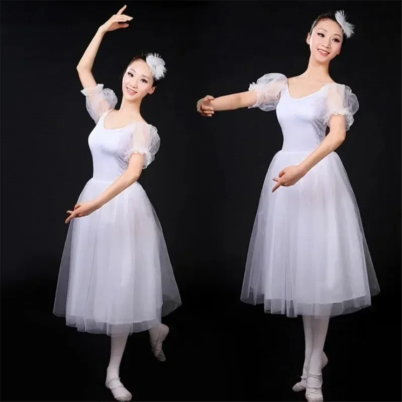 Classical Professional White Swan Lake Ballet Costume Romantic Ballet Tutu Ballet Dresses For Performance Adult Long Tutu
Classical Professional White Swan Lake Ballet Costume Romantic Ballet Tutu Ballet Dresses For Performance Adult Long Tutu
