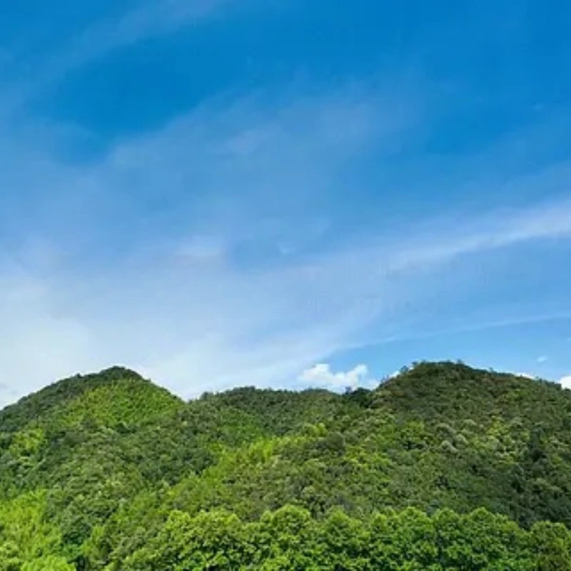 IFlight Helion 10 10-дюймовый комплект рамы O4 10-дюймовая колесная база 418 мм с рычагом 8 мм для DJl O4 Air Unit Pro RC FPV Drone
IFlight Helion 10 10-дюймовый комплект рамы O4 10-дюймовая колесная база 418 мм с рычагом 8 мм для DJl O4 Air Unit Pro RC FPV Drone