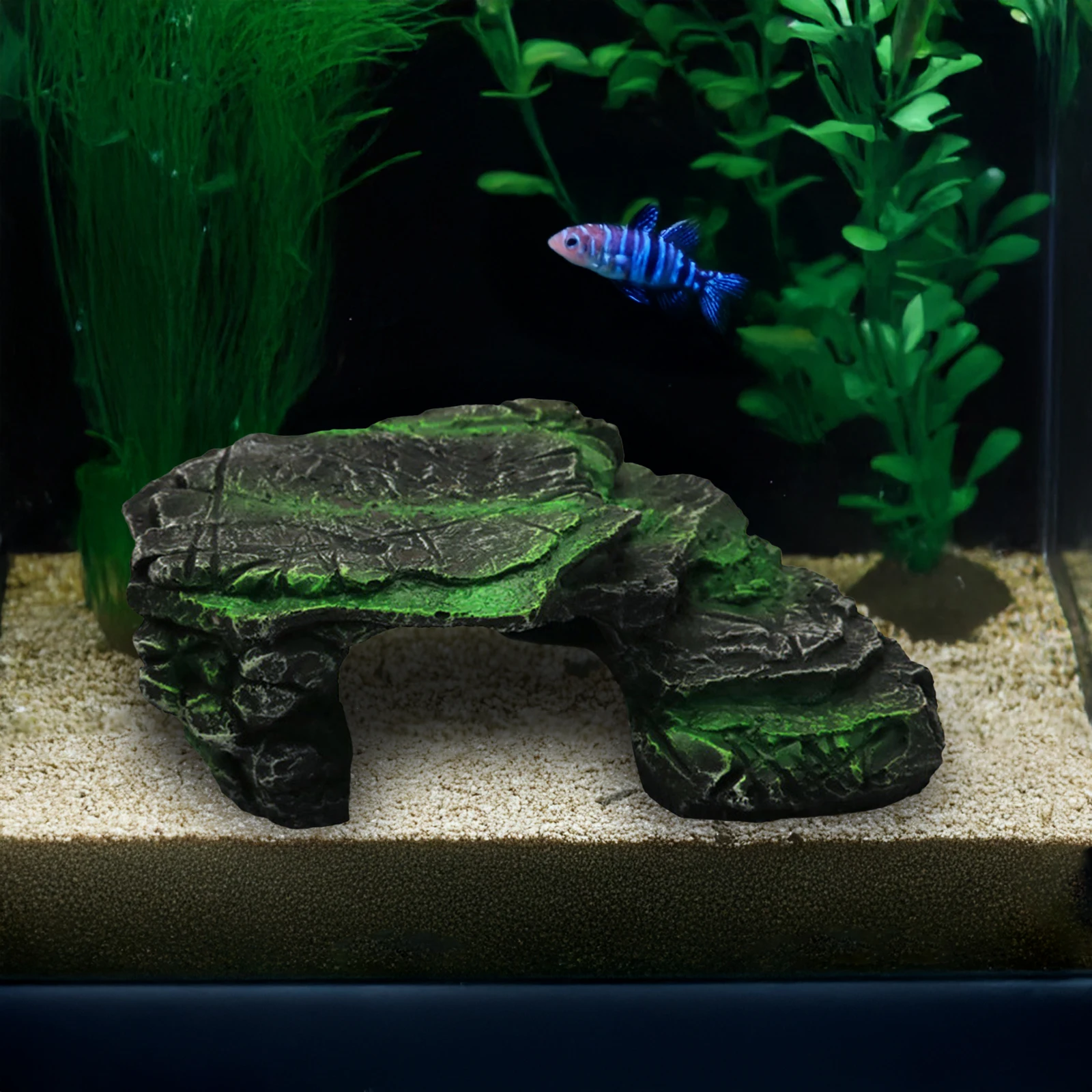 Fish Tank Decor Rockery Ornaments Let Goldfish Enjoy a Natural Environment Design for Glass Containers Aquariums
Fish Tank Decor Rockery Ornaments Let Goldfish Enjoy a Natural Environment Design for Glass Containers Aquariums