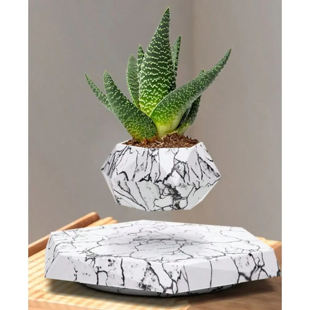 Magnetic Levitating Plant Pot Floating Flower Pot For Home Decoration
Magnetic Levitating Plant Pot Floating Flower Pot For Home Decoration