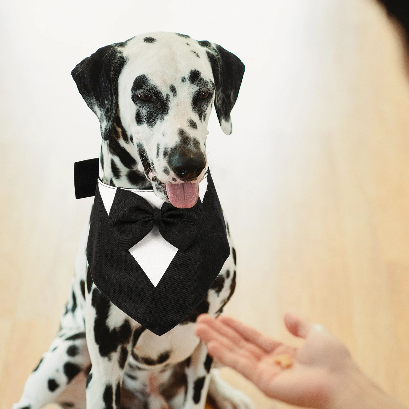 Pet Birthday Necklace Scarf Bandanas for Dogs Dress Bowtie Collar Fabric up Costumes Clothing Ties
Pet Birthday Necklace Scarf Bandanas for Dogs Dress Bowtie Collar Fabric up Costumes Clothing Ties